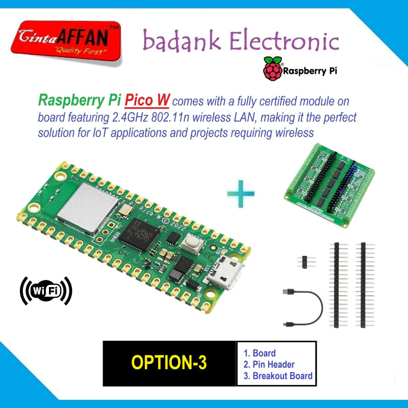 OPTION-3  Raspberry Pi PICO W  Breakout Board  GPIO Pin  USB Cable